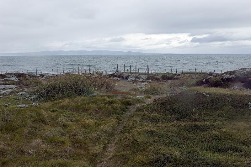 20071214 103539 D2X 4200x2800.jpg - Penguin burrows where the young are born.  Adults tredge down to the sea, catch fish and bring it back to the young.  One parent remains back to guard the nest